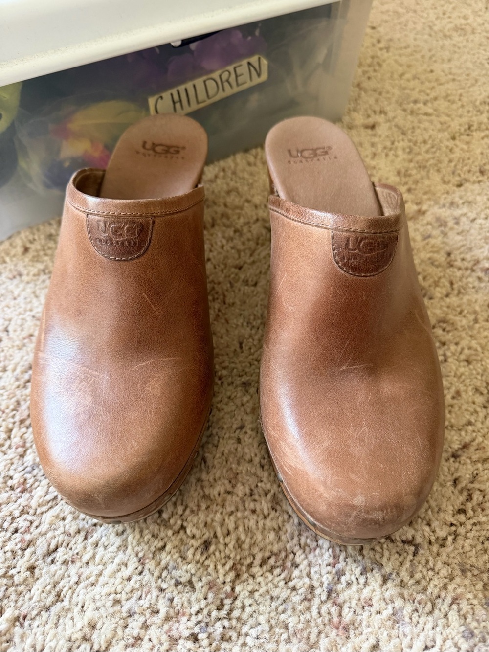 UGG Leather Slip-On Clogs in Chestnut